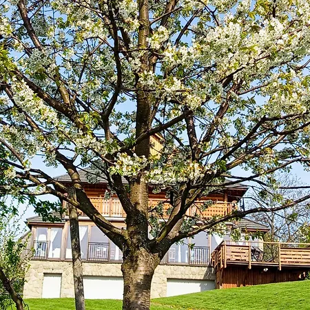 Bed & Breakfast Dom Na Rozcesciu