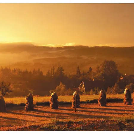 Dom Na Rozcesciu Bed & Breakfast 3*