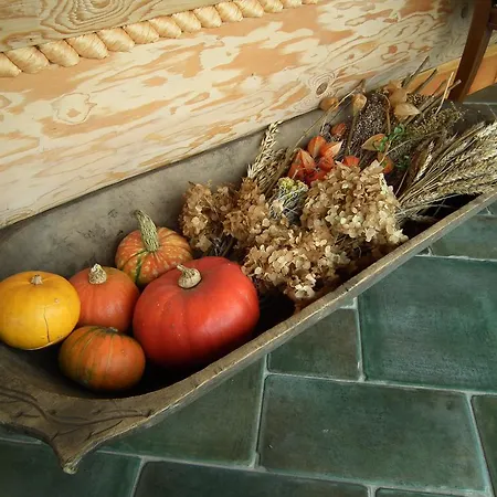 Bed & Breakfast Dom Na Rozcesciu Koniakow